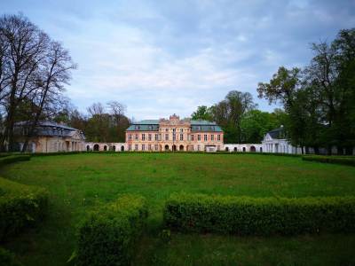 Pałac w Szczekocinach Pałac w Szczekocinach