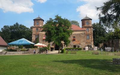 Zamek w Toszku Zamek w Toszku