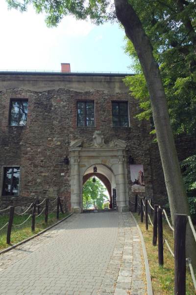 Zamek w Toszku Zamek w Toszku