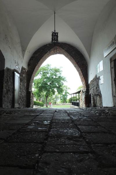 Zamek w Toszku Zamek w Toszku