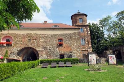 Zamek w Toszku Zamek w Toszku