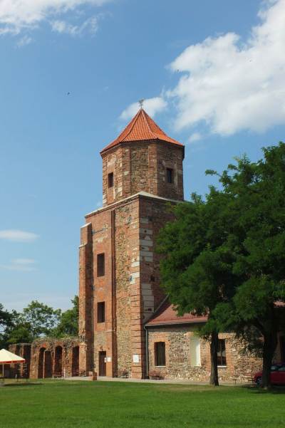 Zamek w Toszku Zamek w Toszku