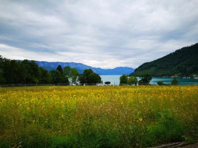 Attersee Attersee