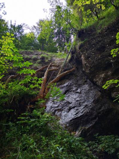 Wąwóz Almbach Wąwóz Almbach