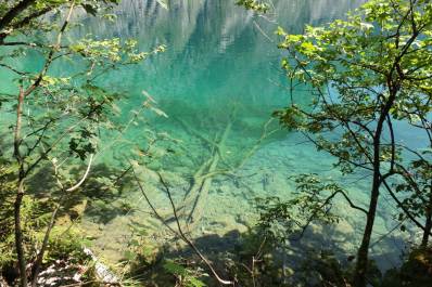 Obersee Obersee