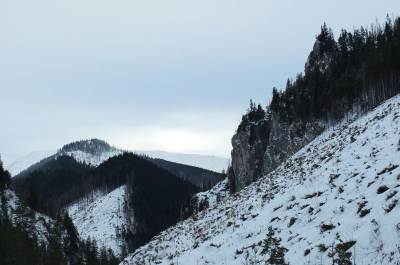 Dolina Chochołowska Dolina Chochołowska