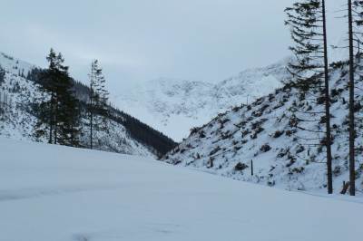 Dolina Chochołowska Dolina Chochołowska