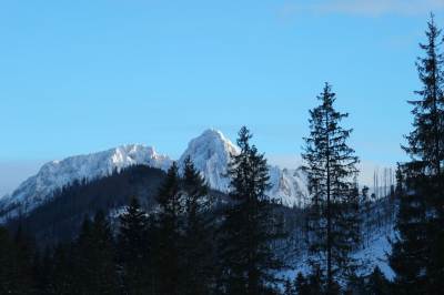 Dolina Chochołowska Dolina Chochołowska