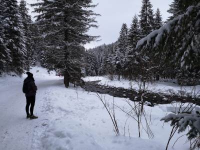 Dolina Chochołowska Dolina Chochołowska