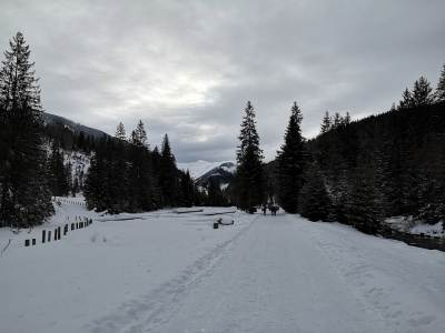 Dolina Chochołowska Dolina Chochołowska