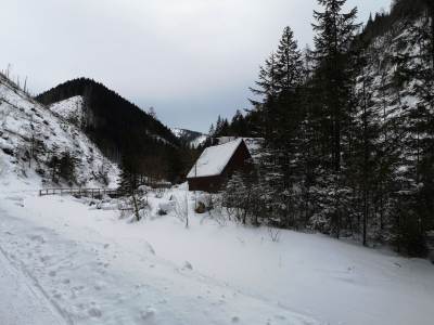 Dolina Chochołowska Dolina Chochołowska