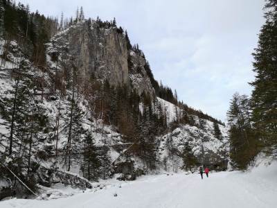 Dolina Chochołowska Dolina Chochołowska