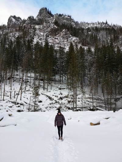 Dolina Chochołowska Dolina Chochołowska