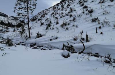 Dolina Chochołowska Dolina Chochołowska