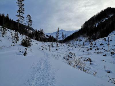 Dolina Chochołowska Dolina Chochołowska