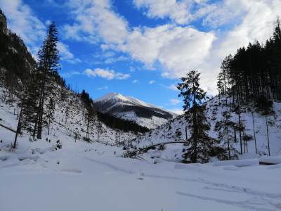 Dolina Chochołowska Dolina Chochołowska