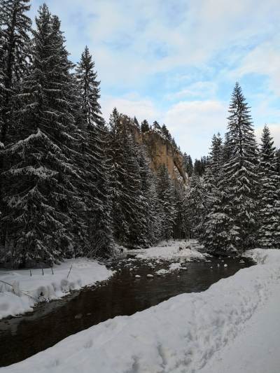 Dolina Chochołowska Dolina Chochołowska