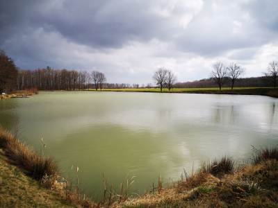 Pałac Sulisław Pałac Sulisław