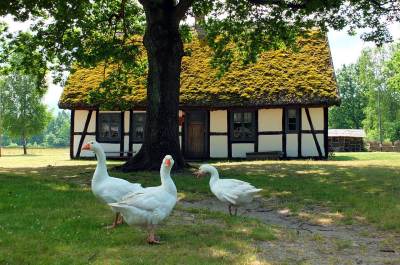 Muzeum Wsi Słowińskiej Kluki Muzeum Wsi Słowińskiej Kluki
