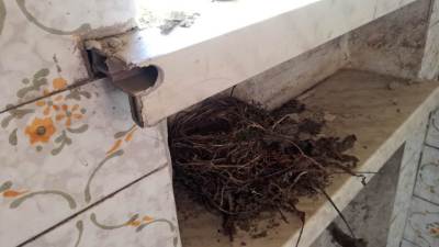 Nieboczowy Nieboczowy