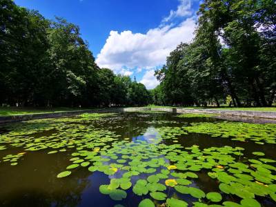 Chocianów, Pałac w Chocianowie Chocianów, Pałac w Chocianowie