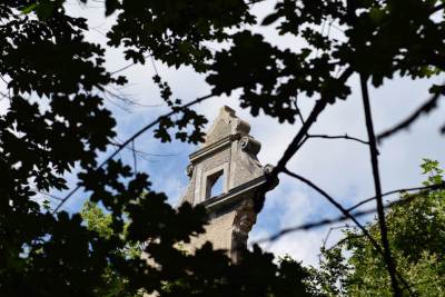 Ruiny Zamku w Chocianowcu Ruiny Zamku w Chocianowcu