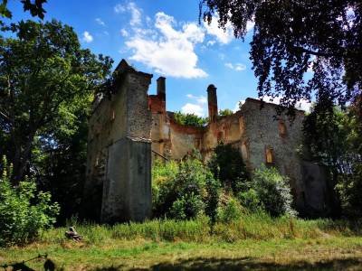 Ruiny Zamku w Chocianowcu Ruiny Zamku w Chocianowcu