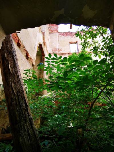 Ruiny Zamku w Chocianowcu Ruiny Zamku w Chocianowcu