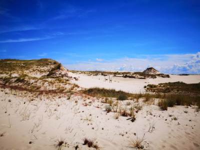 Słowiński Park Narodowy Wydma Lącka Słowiński Park Narodowy Wydma Lącka