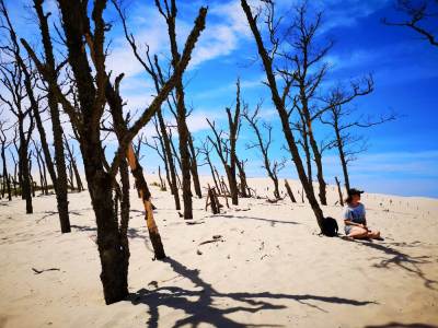 Słowiński Park Narodowy Wydma Lącka Słowiński Park Narodowy Wydma Lącka