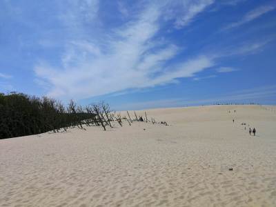 Słowiński Park Narodowy Wydma Lącka Słowiński Park Narodowy Wydma Lącka