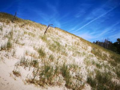 Słowiński Park Narodowy Wydma Lącka Słowiński Park Narodowy Wydma Lącka