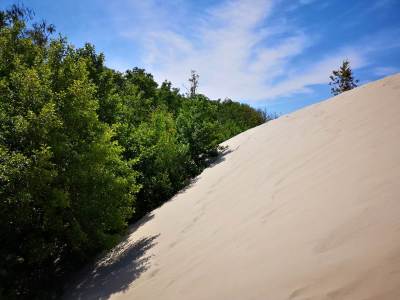 Słowiński Park Narodowy Wydma Lącka Słowiński Park Narodowy Wydma Lącka