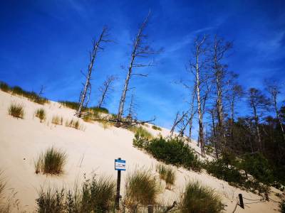 Słowiński Park Narodowy Wydma Lącka Słowiński Park Narodowy Wydma Lącka