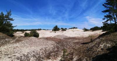 Slowinski Park Narodowy Wydma Lacka Slowinski Park Narodowy Wydma Lacka