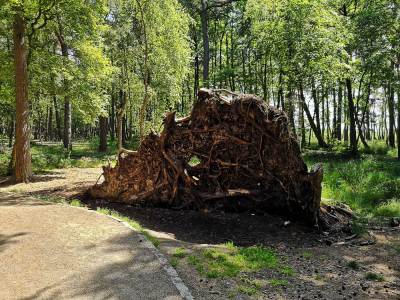 Slowinski Park Narodowy Wydma Lacka Slowinski Park Narodowy Wydma Lacka
