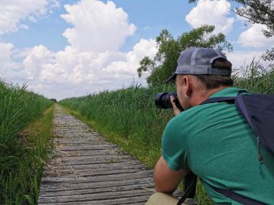 Stawy przemkowskie Stawy przemkowskie