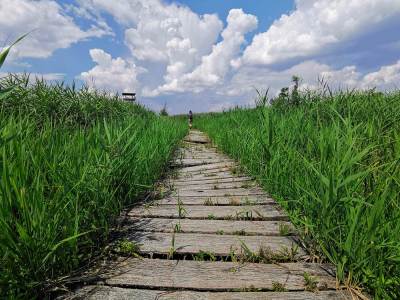 Stawy przemkowskie Stawy przemkowskie