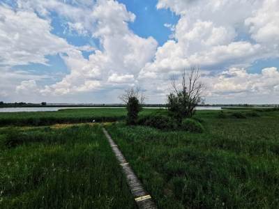 Stawy przemkowskie Stawy przemkowskie