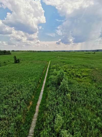 Stawy przemkowskie Stawy przemkowskie