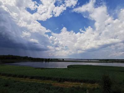 Stawy przemkowskie Stawy przemkowskie