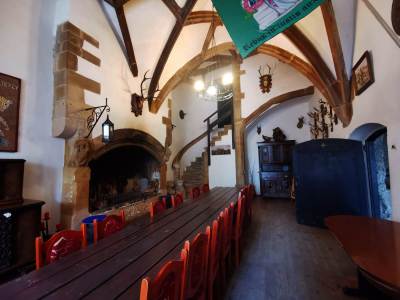 Zamek Grodziec Zamek Grodziec