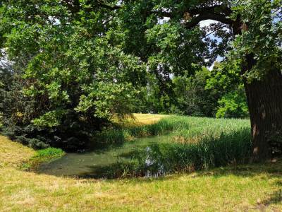 Zamek Leśnica, Wrocław Zamek Leśnica, Wrocław