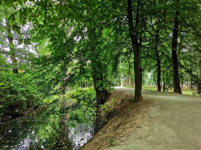 Zamek rycerski w Prochowicach Zamek rycerski w Prochowicach