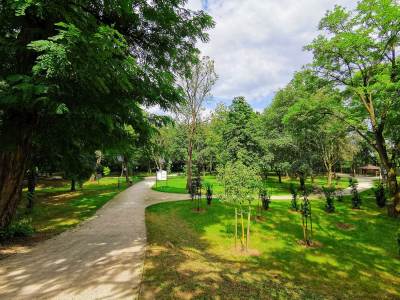 Zamek rycerski w Prochowicach Zamek rycerski w Prochowicach