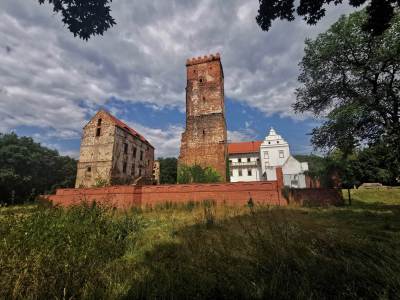 Zamek rycerski w Prochowicach Zamek rycerski w Prochowicach