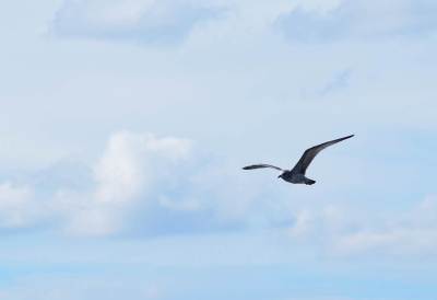 Jezioro Łąka Jezioro Łąka