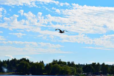 Jezioro Łąka Jezioro Łąka