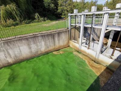 Jezioro Łąka Jezioro Łąka