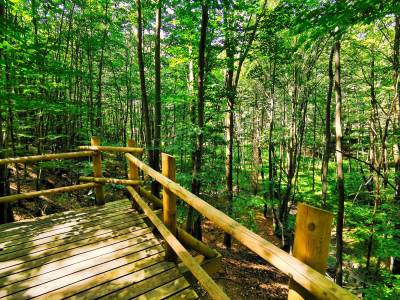 Szwajcaria Rachowica Szwajcaria Rachowica